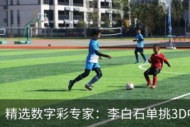 精选数字彩专家：李白石单挑3D中直选 连续6期中奖
